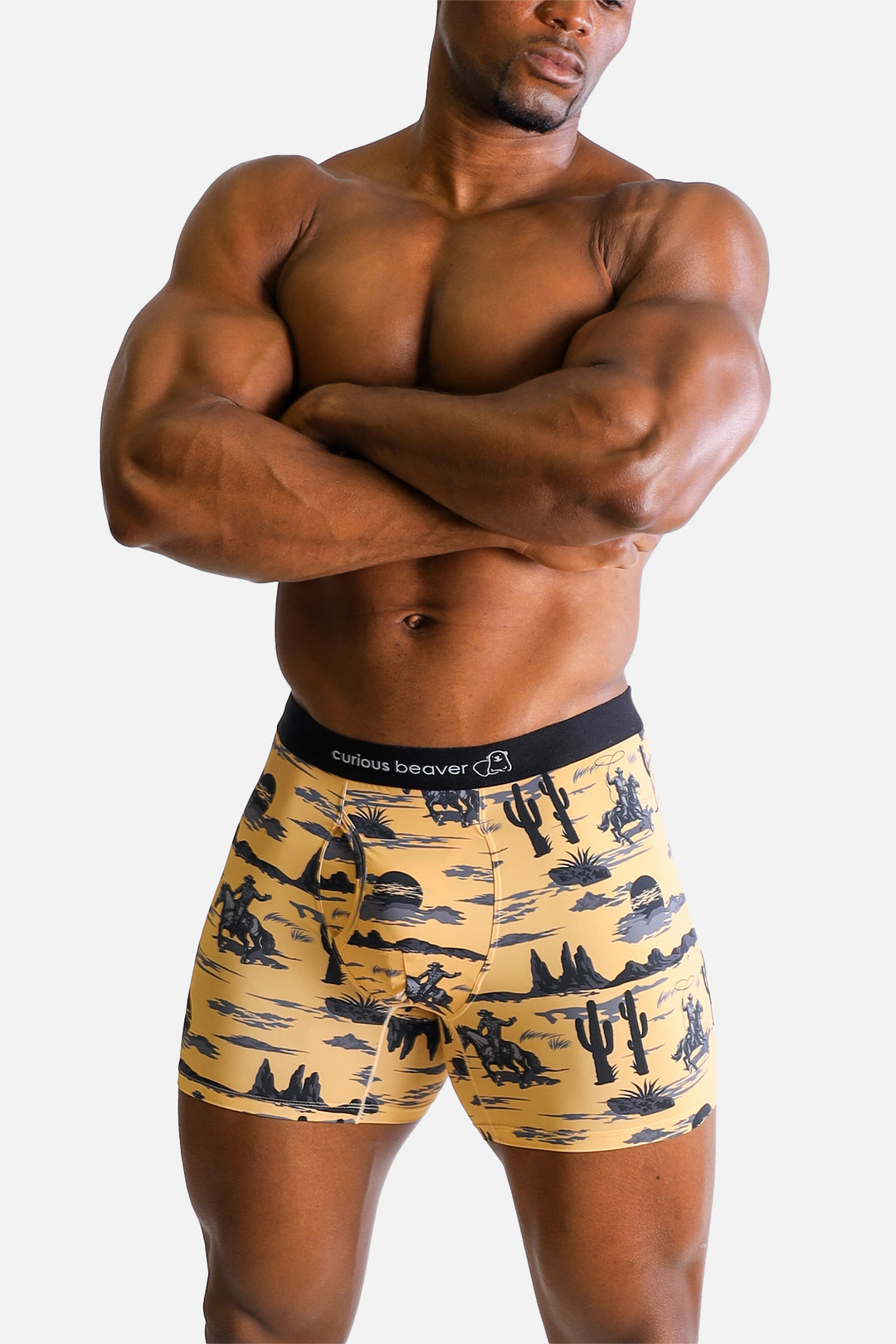 Men's Boxer Briefs - Wild West