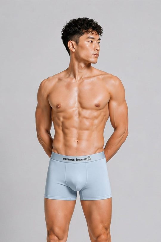 Men's Soft Modal Boxer Briefs - Silver Blue